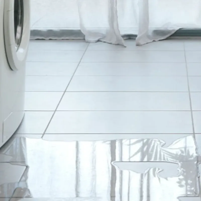 Appliance Leak Cleanup in Seagoville, TX