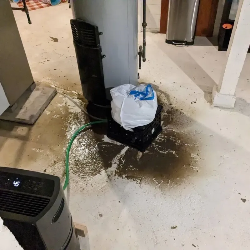 Sewage Backup Cleanup Service in Seagoville, TX